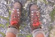 Hiking Tours Table Mountain